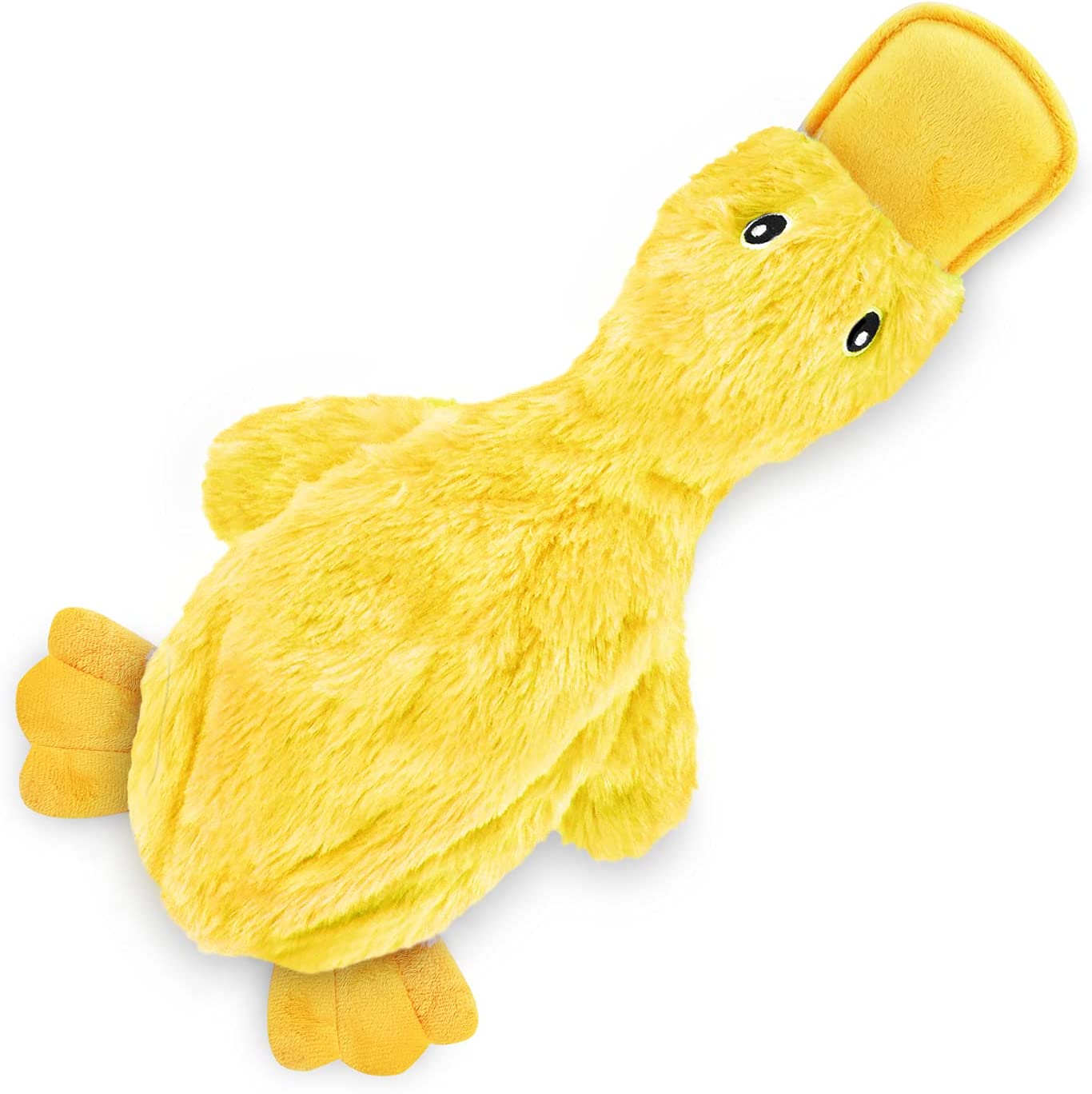61iLNIUwPnL._AC_SL1500_.jpg