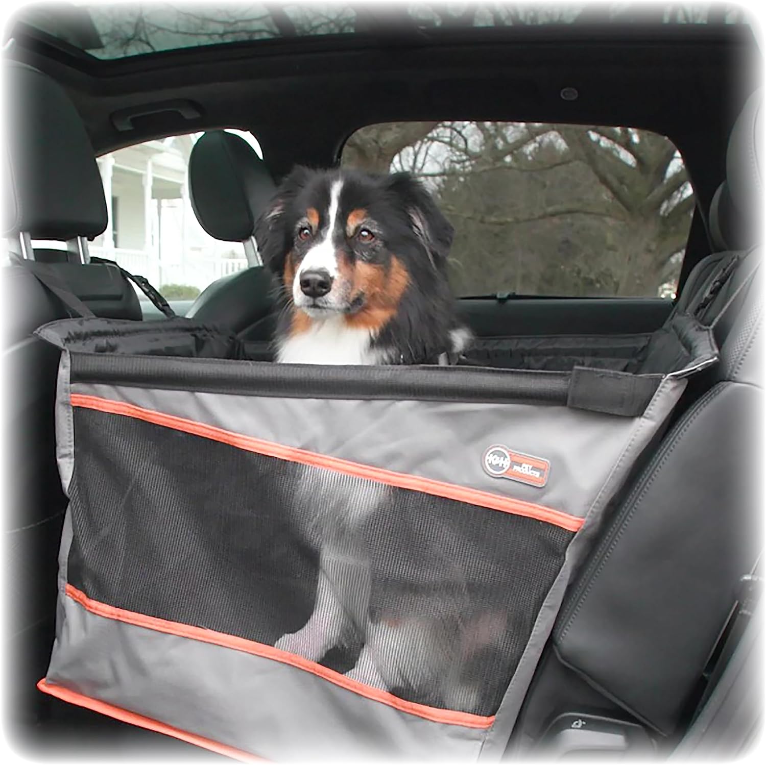 PET90.jpg